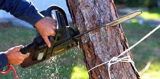 Best Arborist Consultation Services  in Slinger, WI